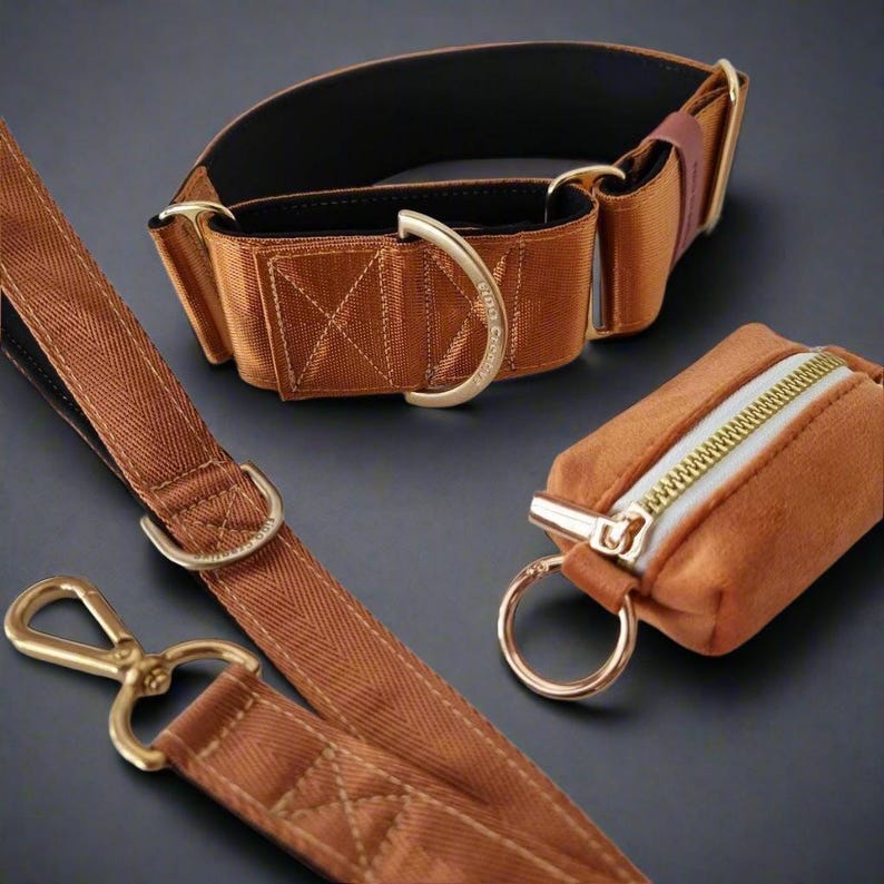 Brown Whippet collar set