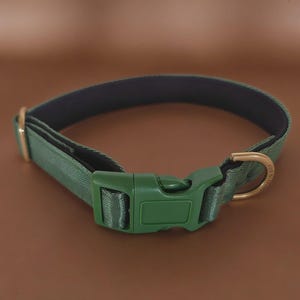 Pu&ograve; includere: Un collare per animali domestici color verde salvia con fibbia a scatto in plastica verde, un anello a D in metallo dorato per il guinzaglio e un cursore in metallo dorato per la regolazione. Il collare presenta una fodera interna scura.