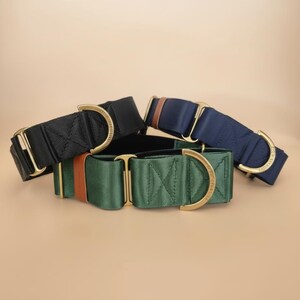 a collection of four colorful martingale dog collars, each with a unique design and color.