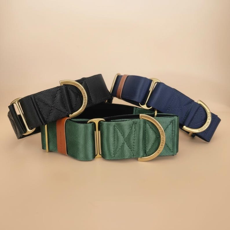 a collection of four colorful martingale dog collars, each with a unique design and color.