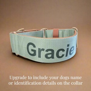 A light greeb martingale dog collar with the name "Gracie" printed on it.