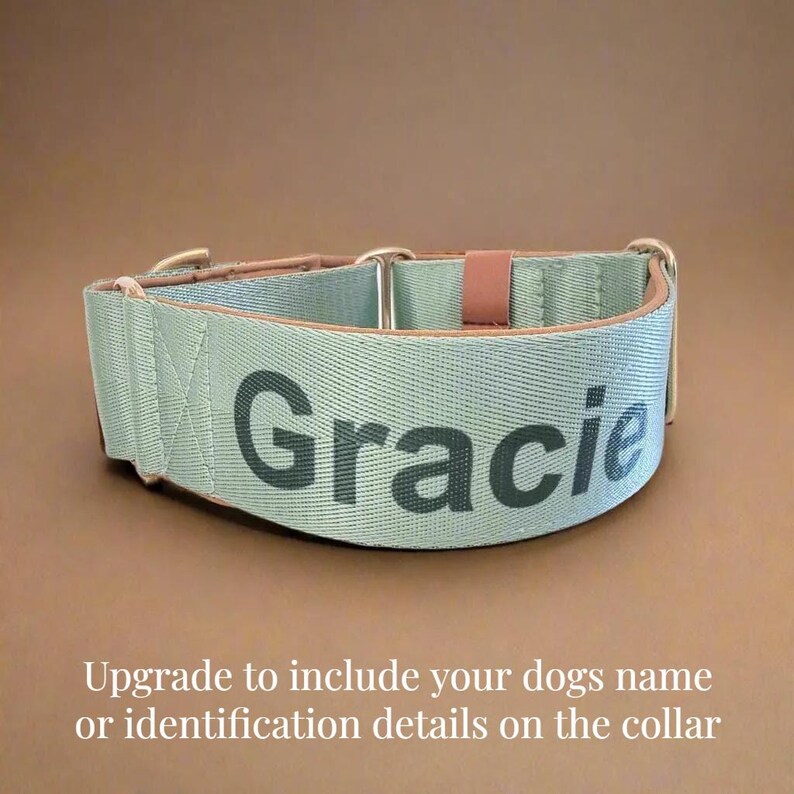 A light greeb martingale dog collar with the name "Gracie" printed on it.