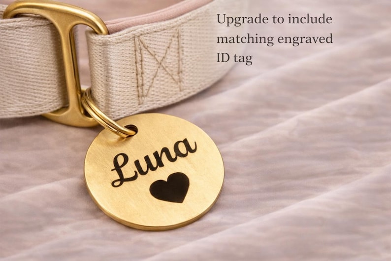 engraved identification tag on dog collar