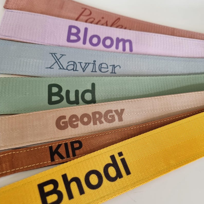 name dog collars in a range of colours
