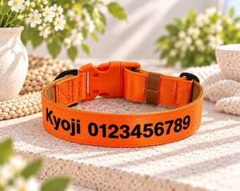Personalised Orange Dog Collar, Padded Neoprene, Custom Name & Phone Number