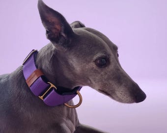 Martingale Dog Collar: Royal Purple, Padded - Solid Brass Hardware