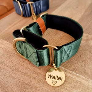 green and blue greyhound collars