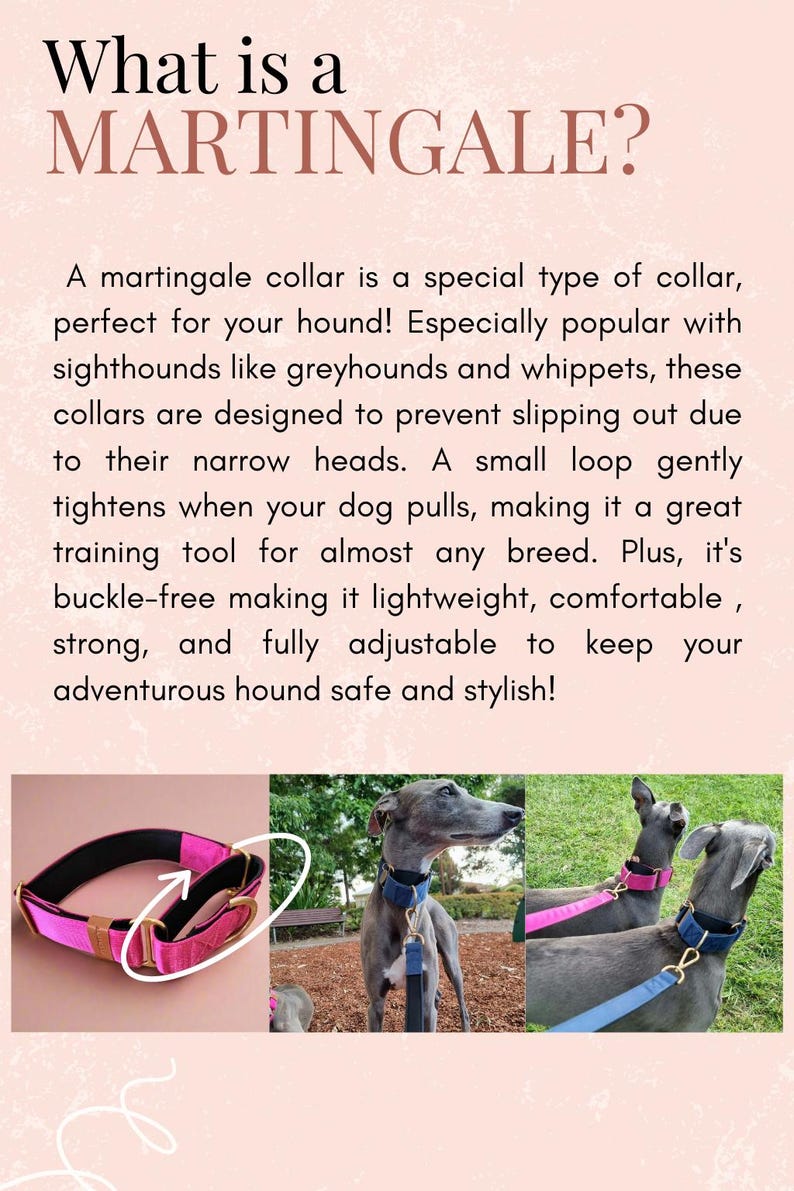 The image is a collage of three photographs depicting a martingale collar for hounds. The collage showcases the collar in different settings, highlighting its unique features and design.