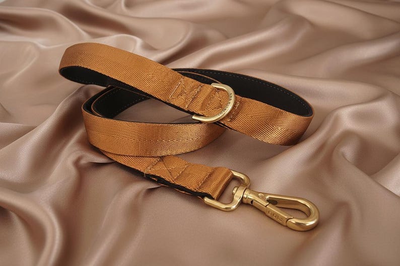 Tawny Brown Neoprene Padded Martingale Dog Collar: Solid Brass Hardware and optional personalisation image 11