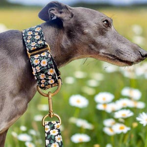 Daisy Martingale Dog Collar: Wide Green Floral Greyhounds & All Dog Breeds