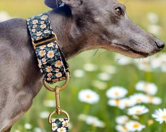 Floral Martingale Dog Collar: Green Daisy Pattern with Brass or Rose Gold