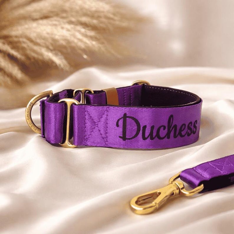 purple martingale dog collar with name on it and leash with gold clip