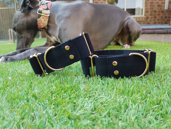 Nior Black Martingale Collar Greyhound Whippet Silky Dog Collar