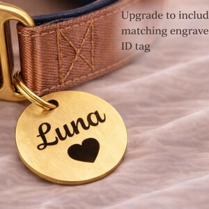 A gold-colored dog collar with a personalized name tag attached, featuring the name "Luna" and a heart symbol.