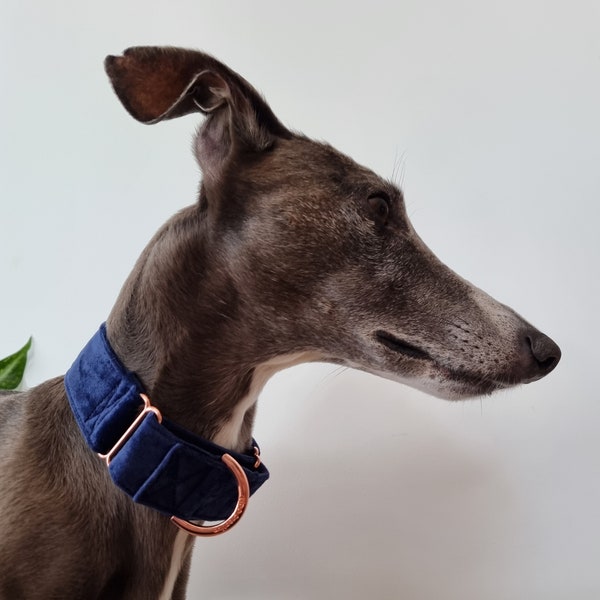 Navy blue velvet martingale collar | Personalised dog collar | Dark blue | Greyhound | Whippet | Name dog Collar | Custom collar | Soft | ID