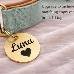 A grewn gold-colored dog collar with a personalized name tag attached, featuring the name "Luna" and a heart symbol.