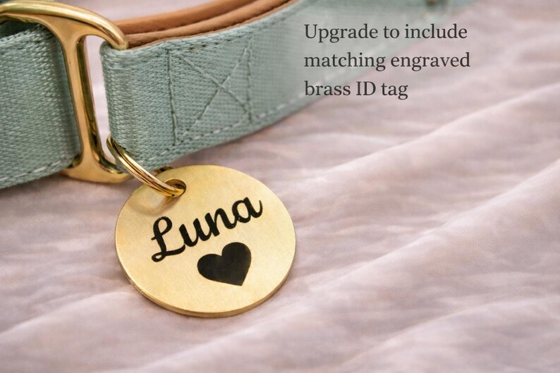 A grewn gold-colored dog collar with a personalized name tag attached, featuring the name "Luna" and a heart symbol.