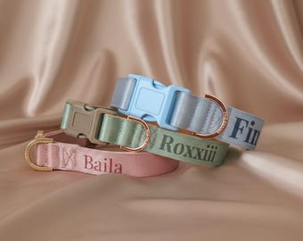 Personalised Adjustable Dog Collar | Custom Name, Alert or Phone Number | Padded Everyday Dog Collar