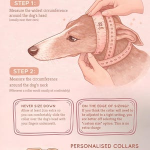 instructions how to correctly fit a matching collar