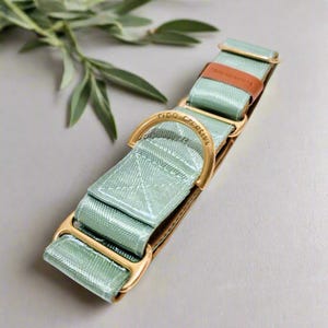 sage green greyhound collar