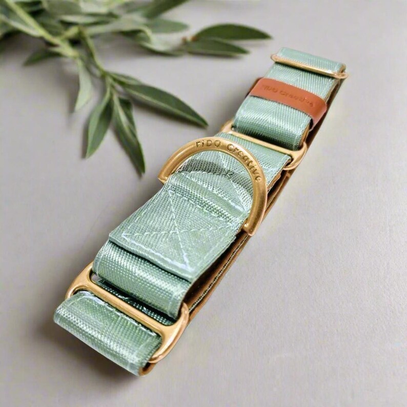 sage green greyhound collar