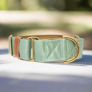 martingale collar in sage green with gold (solid brass hardware)