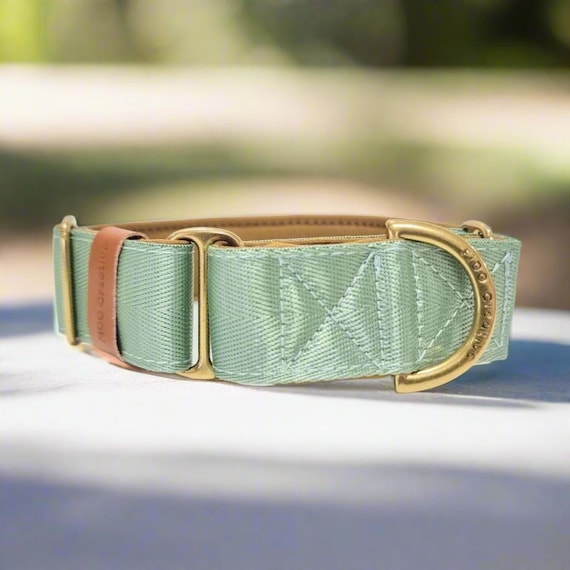 Sage Green Martingale Collar: Green dog collar with Soft Padding (Personalized Name optional)