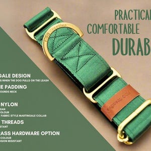 a green dog collar with durable solid brass on it
