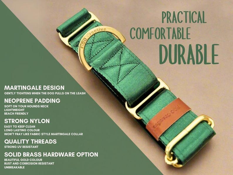 a green dog collar with durable solid brass on it