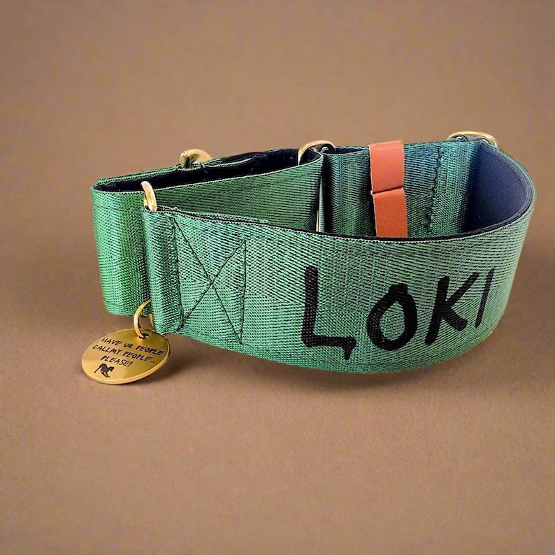 Collar Martingale con nombre personalizado, collar de entrenamiento para perros de ancho personalizado imagen 9