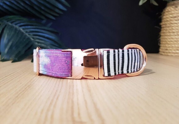lilo dog collar