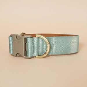 May include: A light sage green pet collar featuring a durable nylon webbing strap with a herringbone texture. The collar includes a matte taupe plastic side-release buckle and a gold-toned metal D-ring engraved with the text Fido Creative.