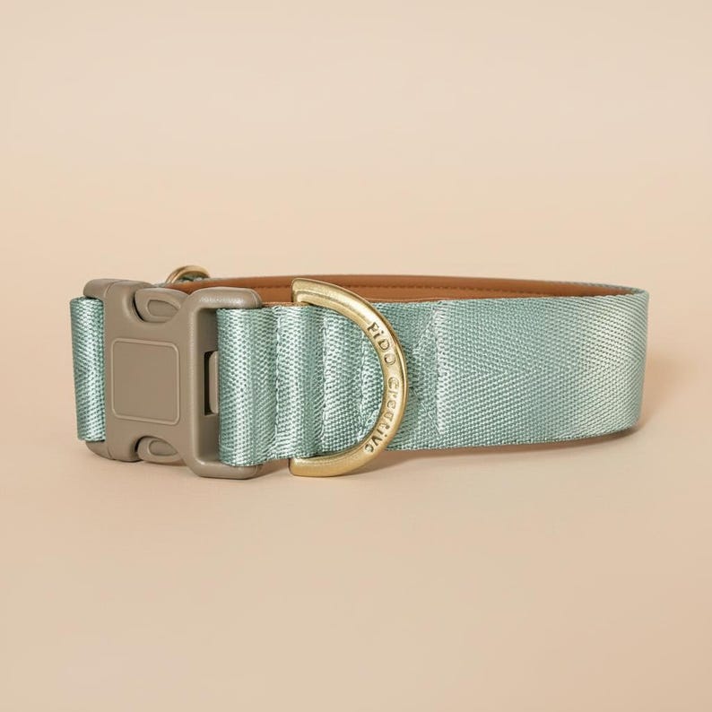 May include: A light sage green pet collar featuring a durable nylon webbing strap with a herringbone texture. The collar includes a matte taupe plastic side-release buckle and a gold-toned metal D-ring engraved with the text Fido Creative.