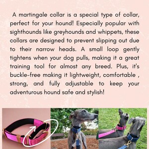 The image is a collage of three photographs depicting a martingale collar for hounds. The collage showcases the collar in different settings, highlighting its unique features and design.