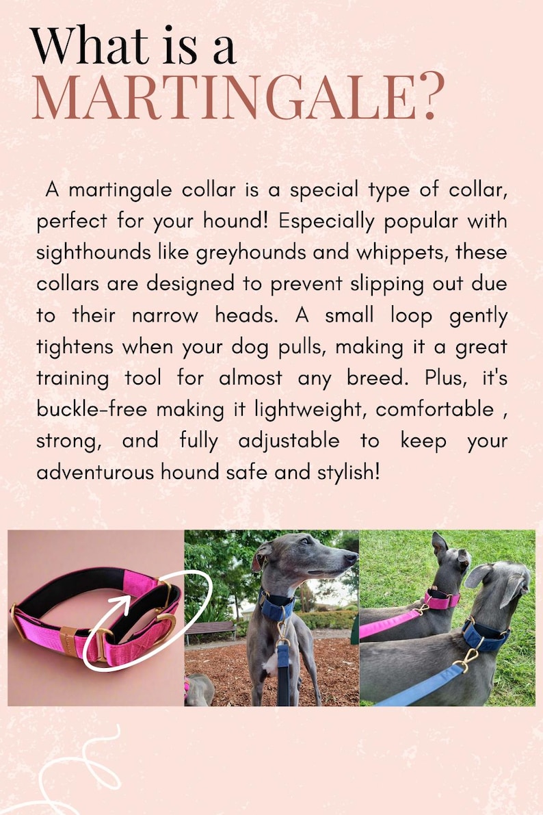 The image is a collage of three photographs depicting a martingale collar for hounds. The collage showcases the collar in different settings, highlighting its unique features and design.
