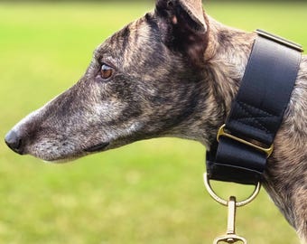 Padded Black Martingale Dog Collar: Greyhound & Whippet Training, Custom Widths