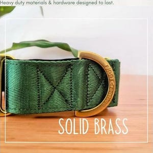 a heavy duty green and gold dog collar