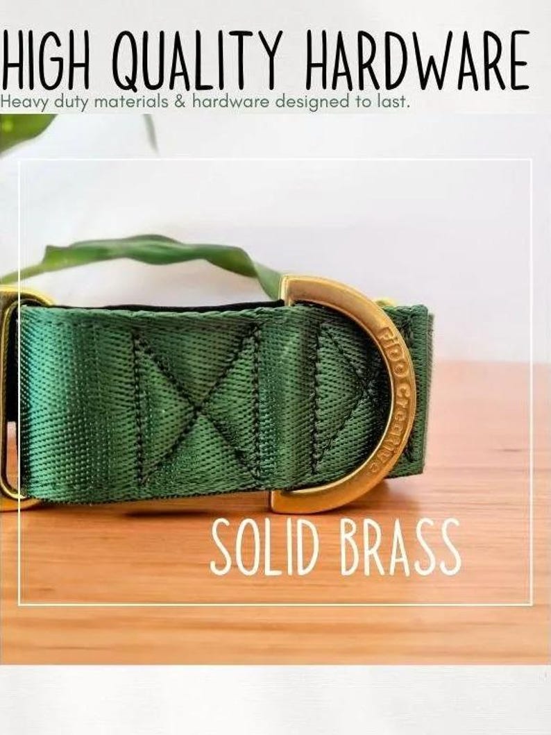 a heavy duty green and gold dog collar