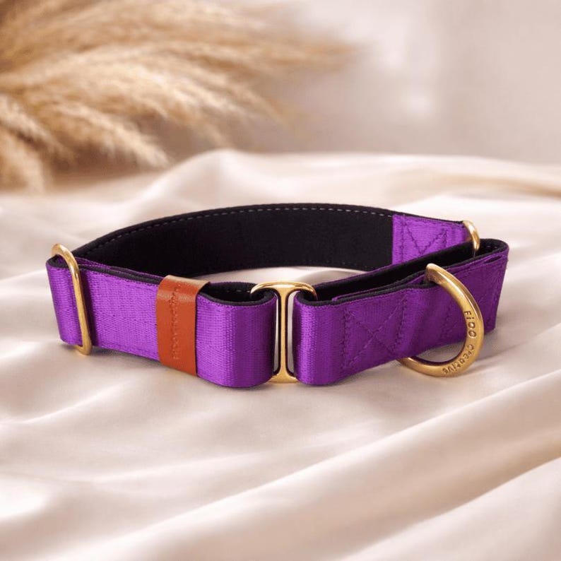 Purple martingale dog collar