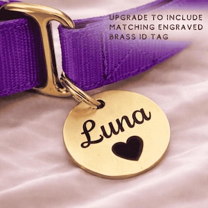engraved dog tag on purple dog collar
