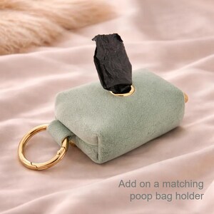 A small, rectangular, light green dog poop bag pouch with gold metal rings