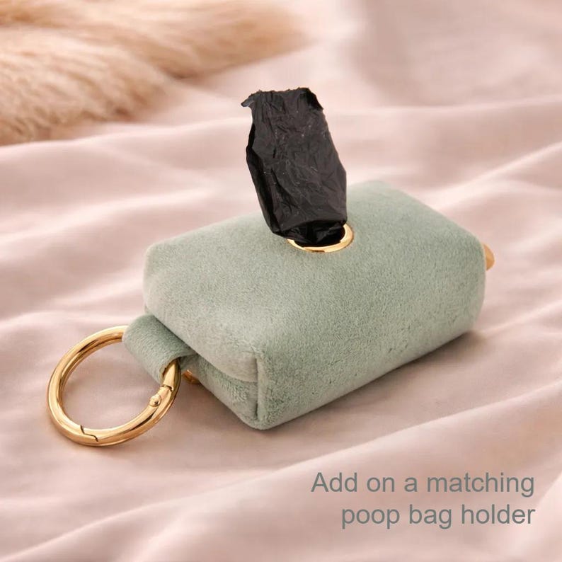 A small, rectangular, light green dog poop bag pouch with gold metal rings