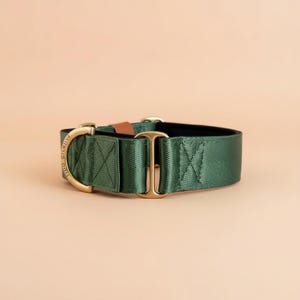 A green martingale dog collar with a gold buckle and a black soft padding inside