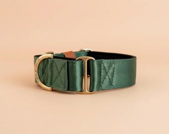 Green Martingale Dog Collar: Personalised, Padded, Brass Hardware