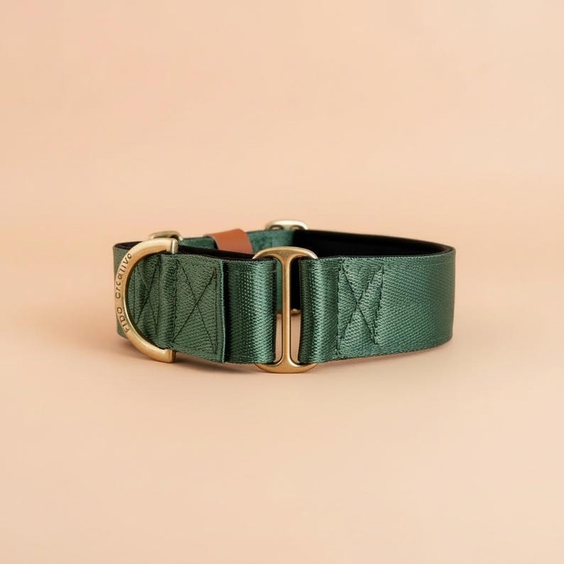 A green martingale dog collar with a gold buckle and a black soft padding inside
