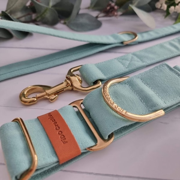 Mint Green martingale collar | Pastel green | Water resistant | Greyhound collar | Whippet collar | training collar | Rose Gold