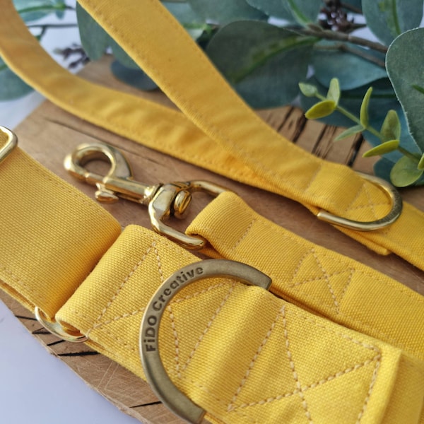 Yellow martingale collar | Water resistant | Custom ID Dog Collar | Greyhound collar| Whippet collar | Wide dog collar