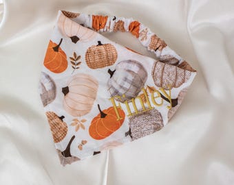 Custom Dog Bandanas