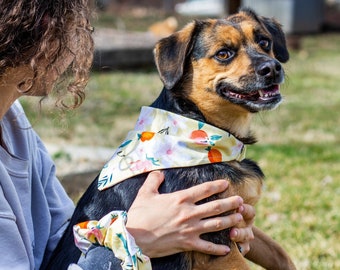 MATCH YOUR DOG! Matching Floral Peach Scrunchie Pet and Owner Set, Scrunchies and Dog Scarf Pack, Dog Bandana and Hair Scrunchy Set