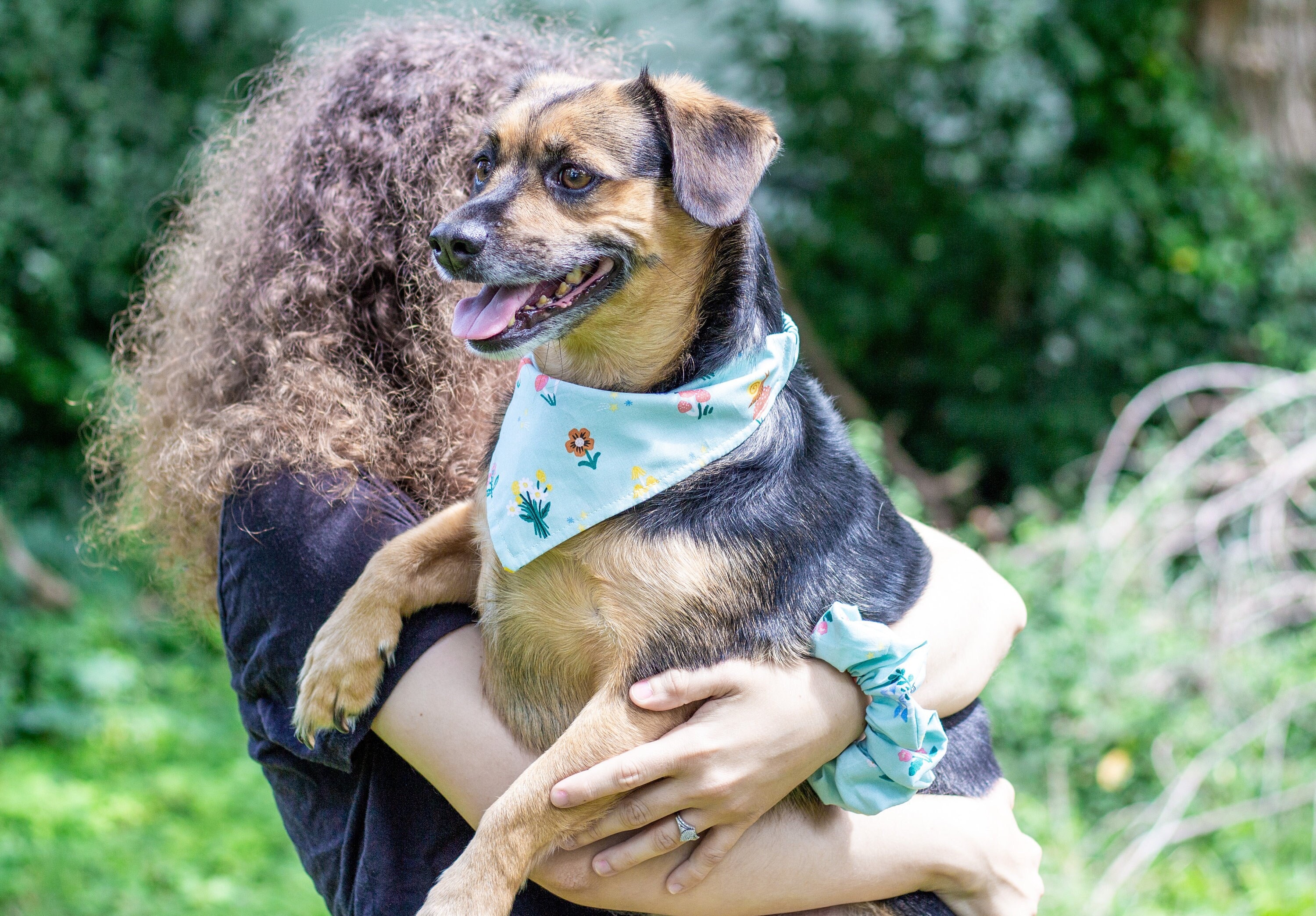 MATCH YOUR DOG Matching Sage Floral Dog Bandana and Hair Scrunchie Set Spring Mushroom Scrunchy Pet and Owner Pack Dog Scarf